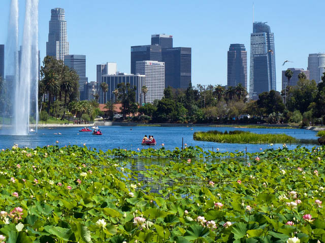 Best Auto Repair Shops in echo park los angeles